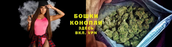 прущая мука Горняк