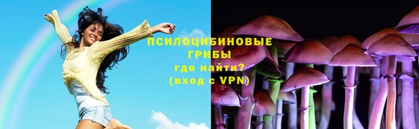 spice Горно-Алтайск