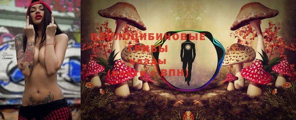 spice Горно-Алтайск