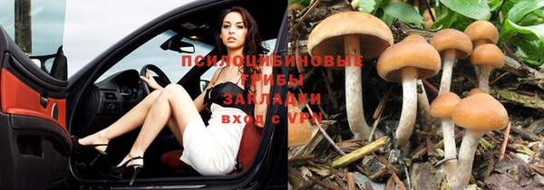 spice Горно-Алтайск
