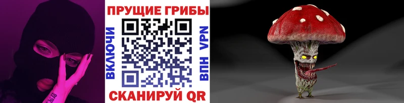 Купить  Анапа  Псилоцибиновые грибы Cubensis 